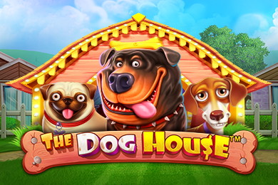 The Dog House слот онлайн Селектор Казино